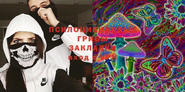 гашик Балабаново
