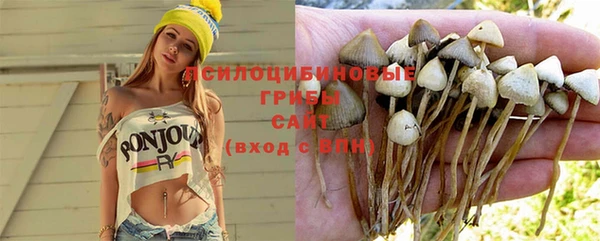 гашик Балабаново